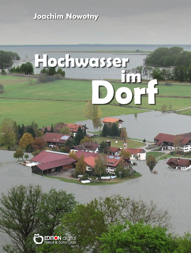 Buchcover für Hochwasser im Dorf