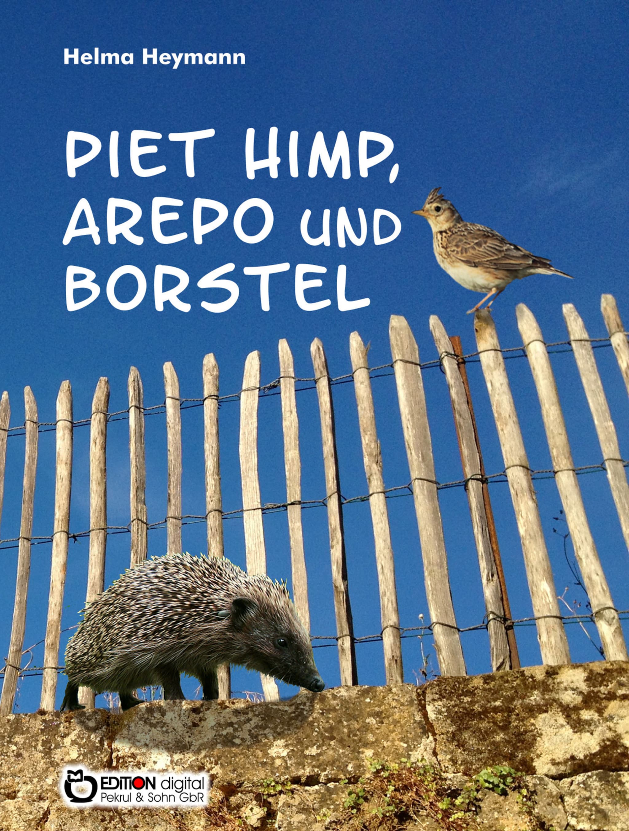Piet Himp, Arepo und Borstel ilmaiseksi