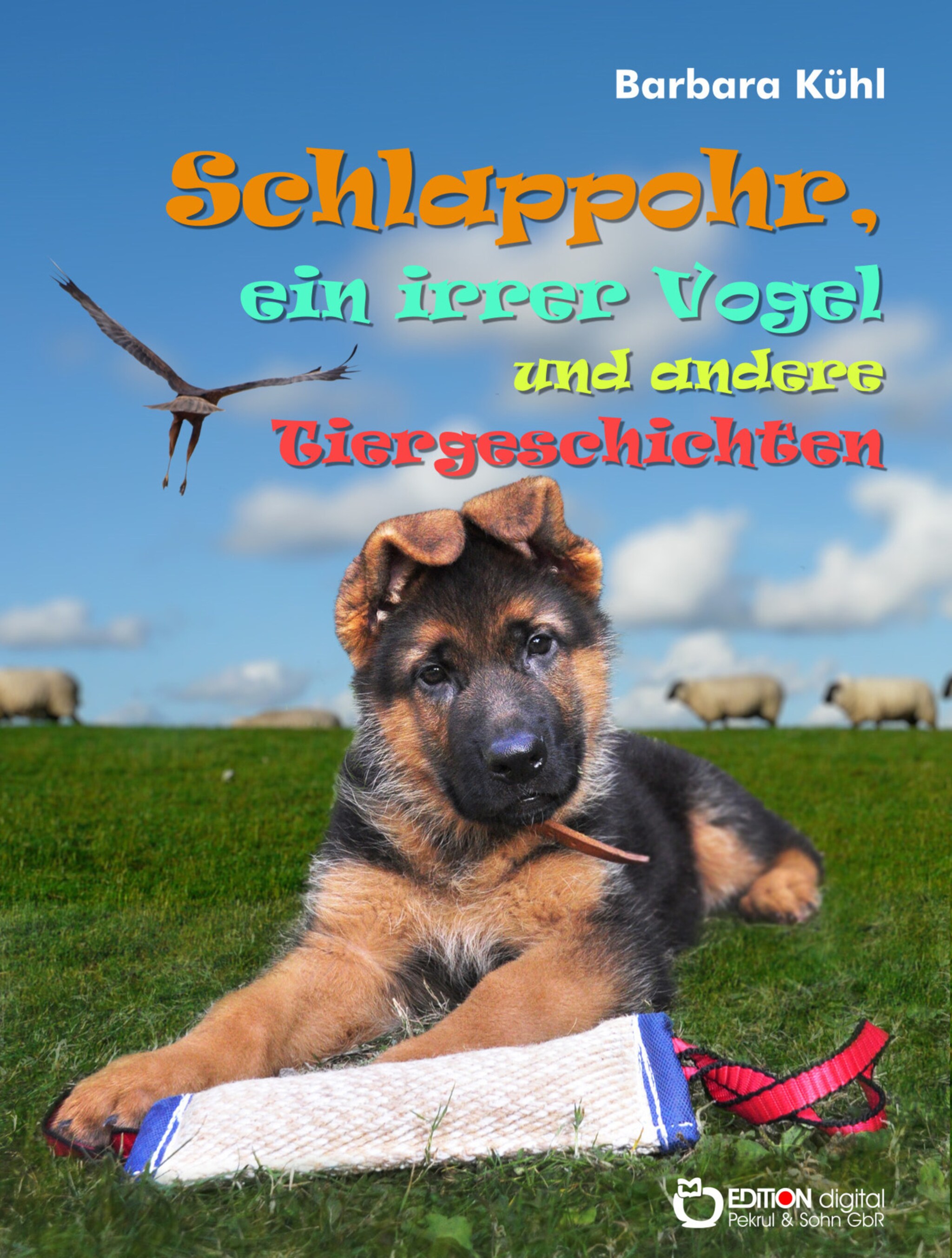 Schlappohr, ein irrer Vogel und andere Tiergeschichten ilmaiseksi