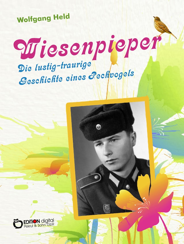 Bokomslag för Wiesenpieper