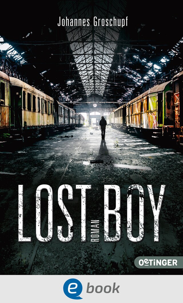 Copertina del libro per Lost Boy