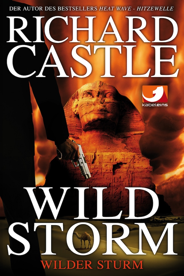 Book cover for Derrick Storm 2: Wild Storm - Wilder Sturm