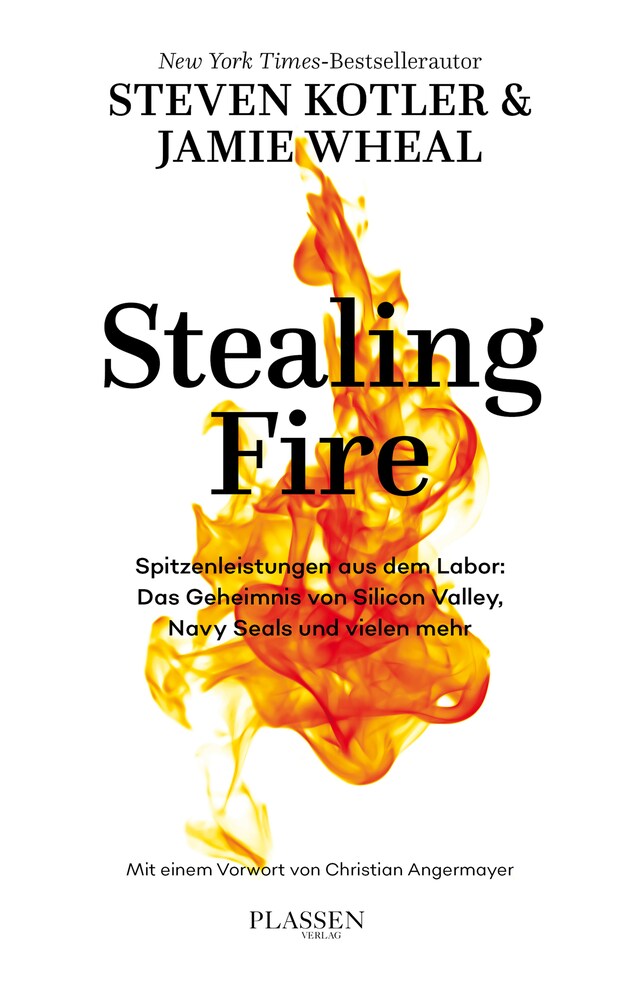 Buchcover für Stealing Fire