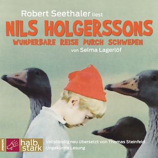 Nils Holgerssons wunderbare Reise durch Schweden (Ungekürzt) als Hörbuch