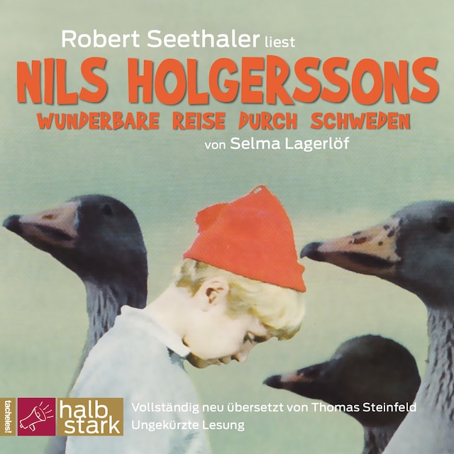 Couverture de livre pour Nils Holgerssons wunderbare Reise durch Schweden (Ungekürzt)