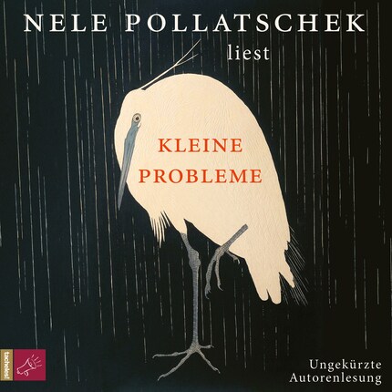 Kleine Probleme (Ungekürzt) bookCoverFor