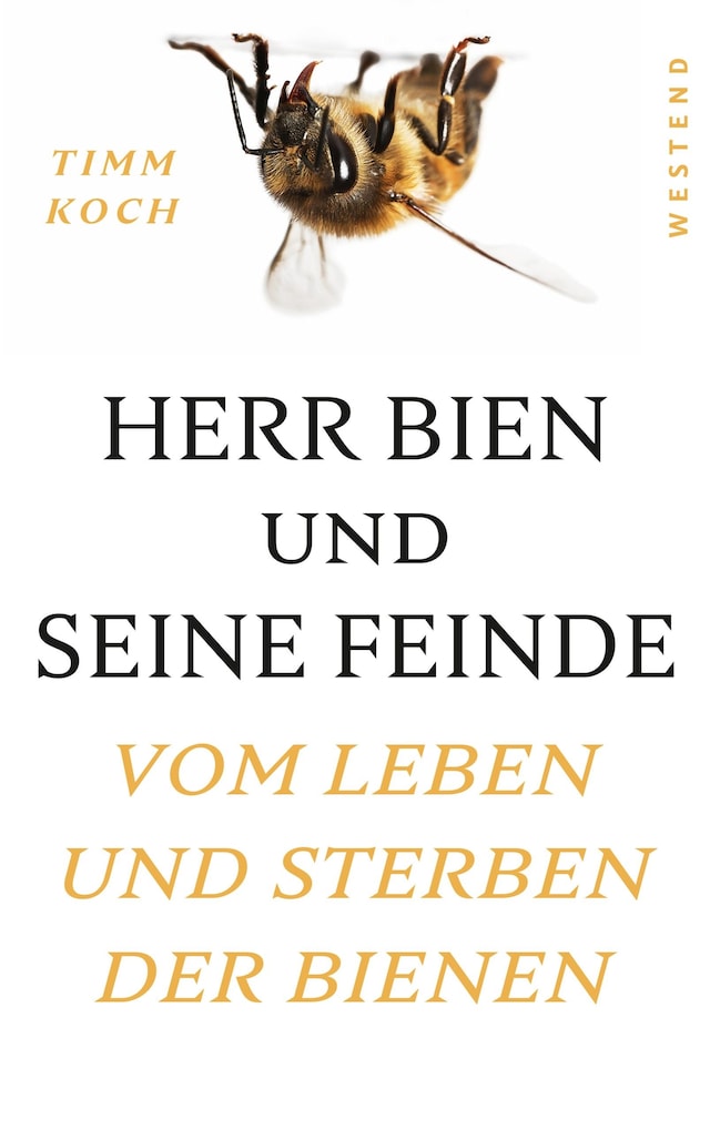 Buchcover für Herr Bien und seine Feinde