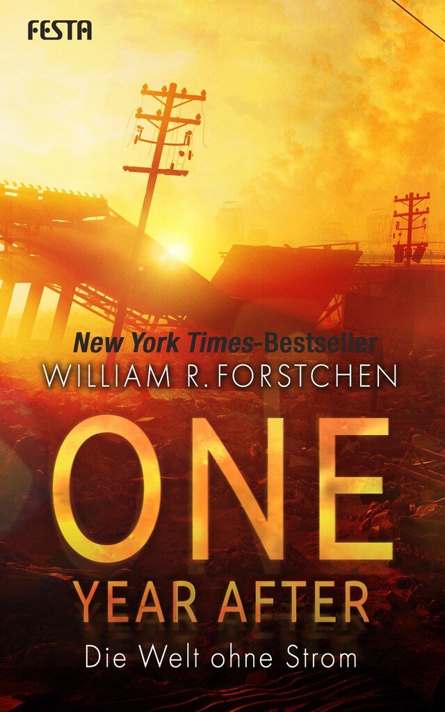 Book cover for One Year After - Die Welt ohne Strom