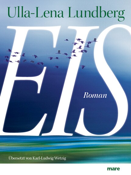 Eis bookCoverFor
