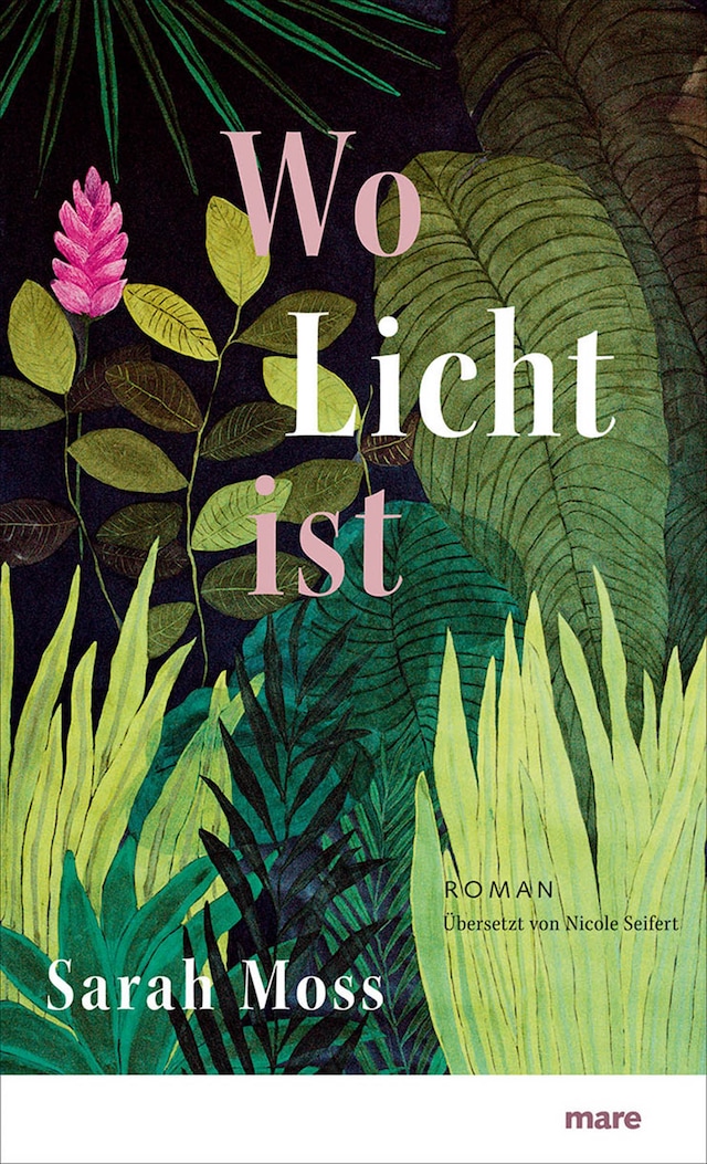 Buchcover für Wo Licht ist