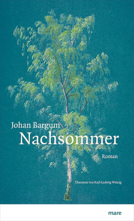 Nachsommer bookCoverFor