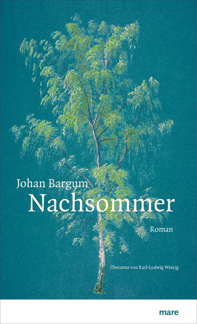 Book cover for Nachsommer
