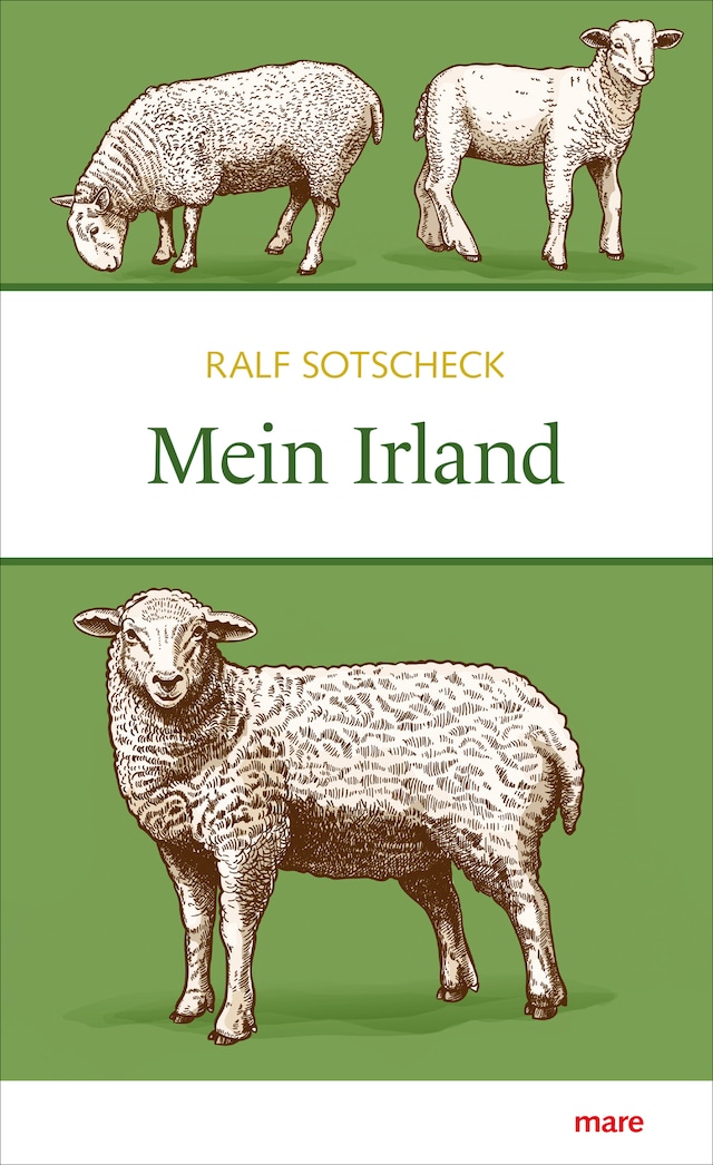 Book cover for Mein Irland