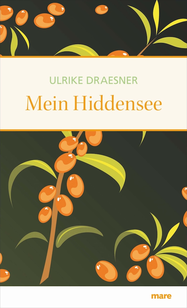 Buchcover für Mein Hiddensee