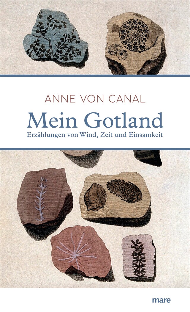 Copertina del libro per Mein Gotland