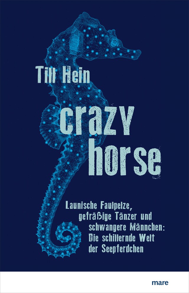 Book cover for Crazy Horse