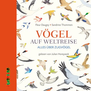 Vögel auf Weltreise - Alles über Zugvögel als Hörbuch