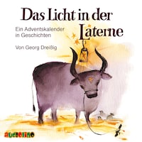 Das Licht in der Laterne - Ein Adventskalender in Geschichten