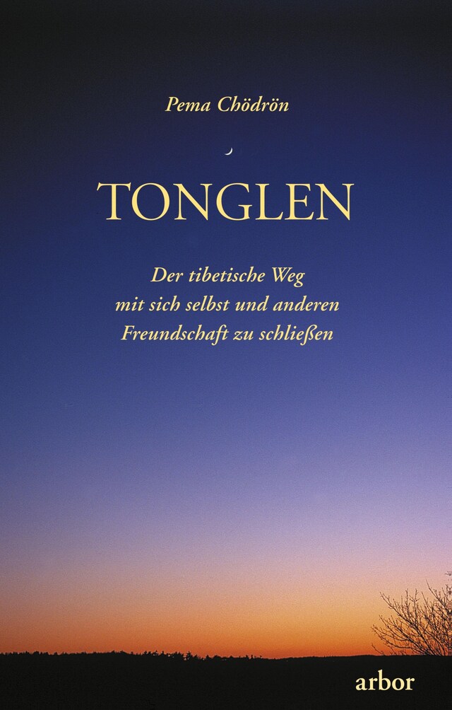 Book cover for Tonglen