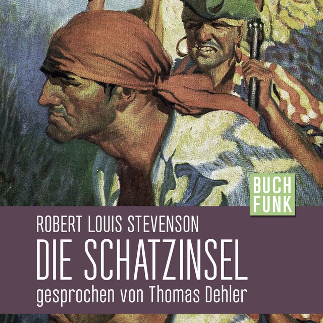 Book cover for Die Schatzinsel