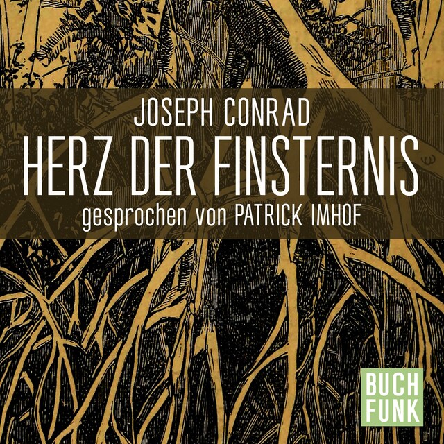 Book cover for Herz der Finsternis