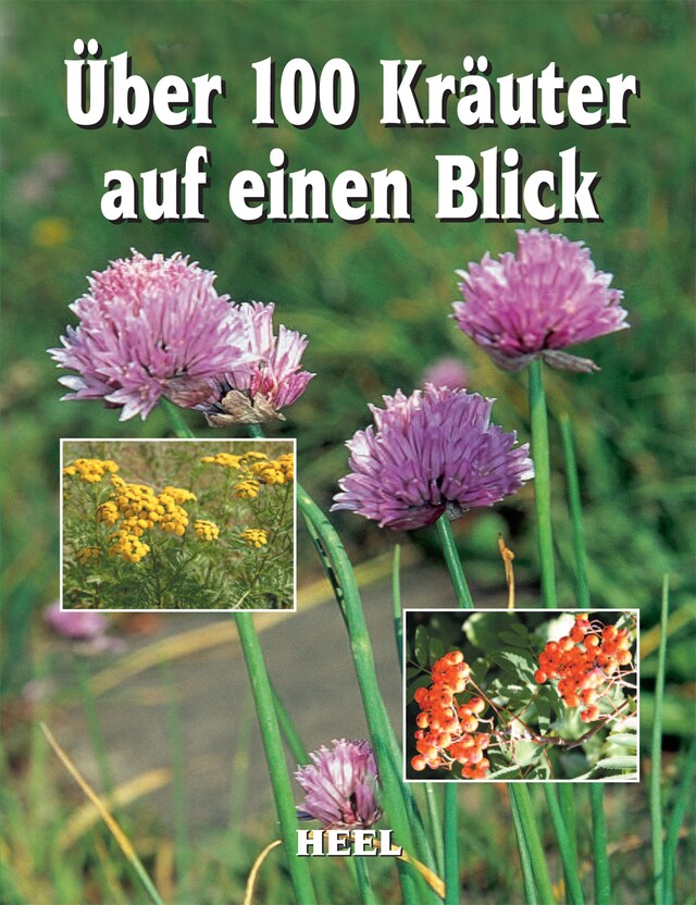 Buchcover für Über 100 Kräuter auf einen Blick