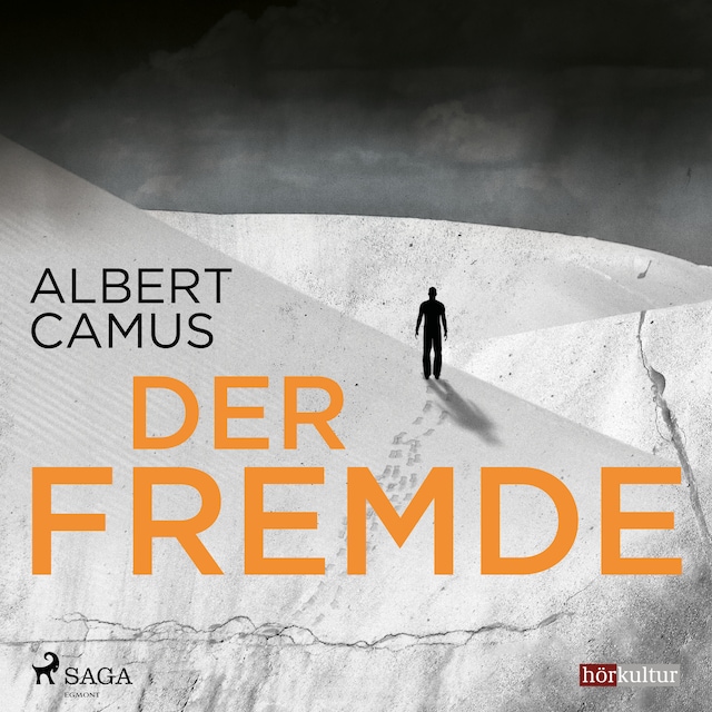 Book cover for Der Fremde (Gekürzt)