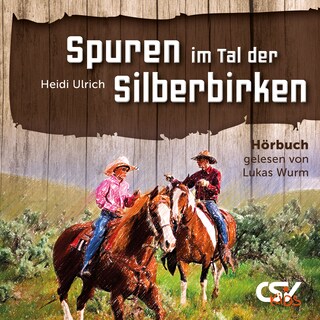 Spuren im Tal der Silberbirken als Hörbuch