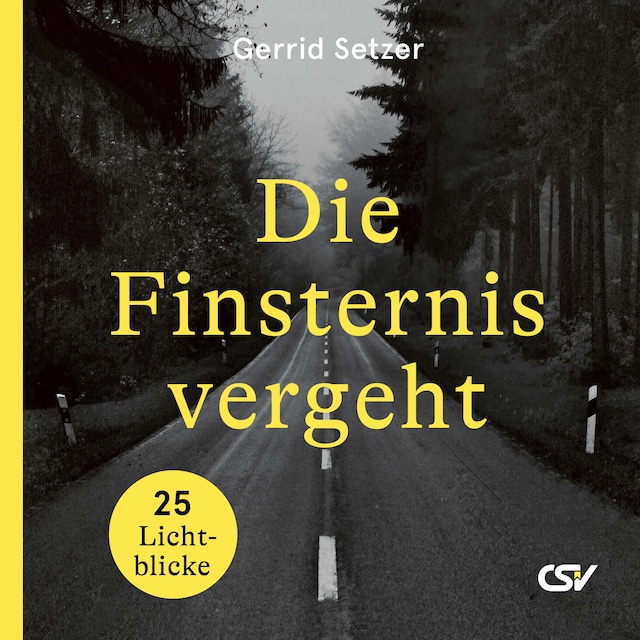 Book cover for Die Finsternis vergeht