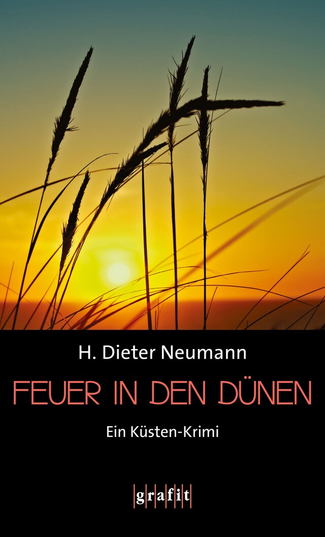 Book cover for Feuer in den Dünen