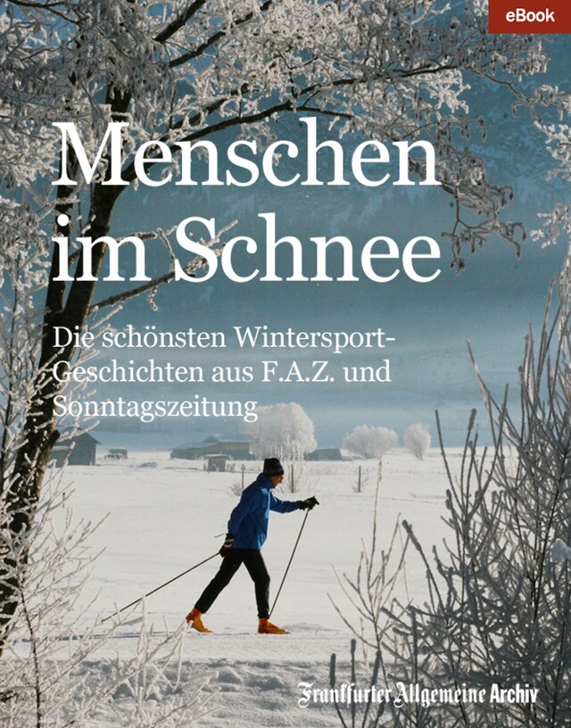 Portada de libro para Menschen im Schnee