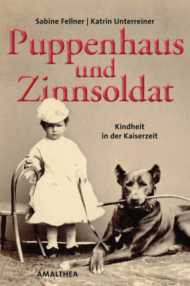 Couverture de livre pour Puppenhaus und Zinnsoldat