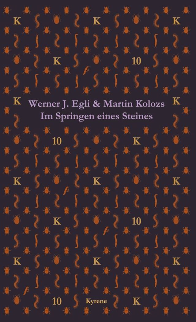 Book cover for Im Springen eines Steines