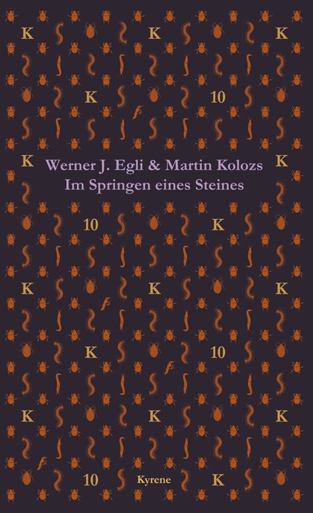 Im Springen eines Steines Book cover for Im Springen eines Steines