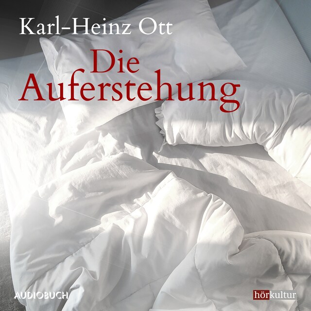 Book cover for Die Auferstehung