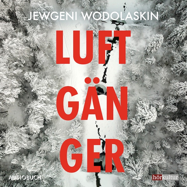 Book cover for Luftgänger