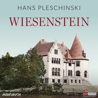 Wiesenstein als Hörbuch