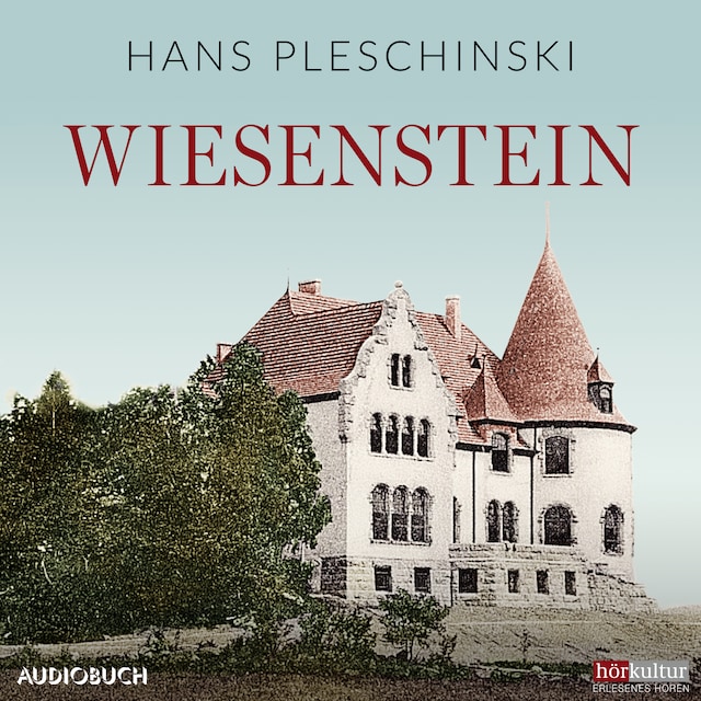 Boekomslag van Wiesenstein