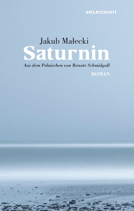 Saturnin bookCoverFor