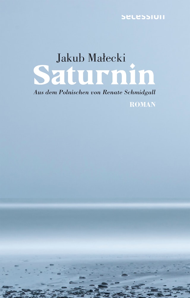 Book cover for Saturnin