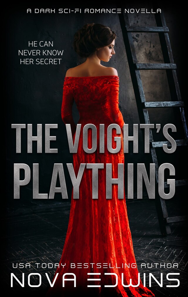 Book cover for The Voight's Plaything