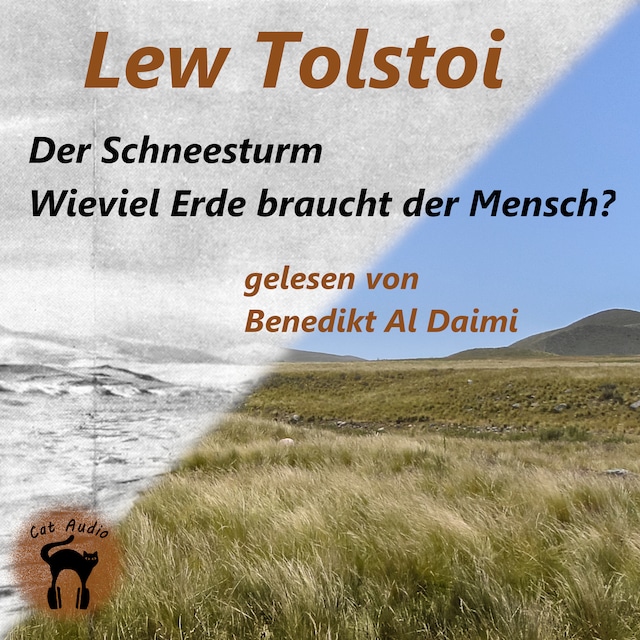 Book cover for Der Schneesturm & Wieviel Erde braucht der Mensch?