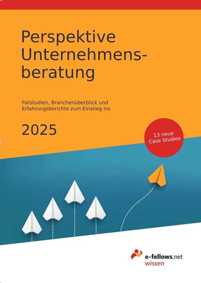 Buchcover für Perspektive Unternehmensberatung 2025