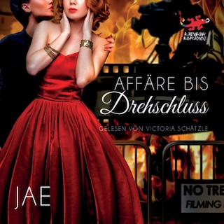 Affäre bis Drehschluss als Hörbuch