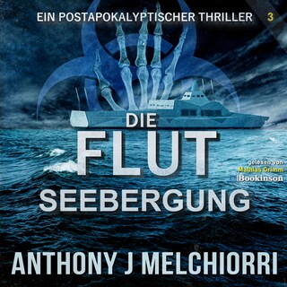 Die Flut: Seebergung als Hörbuch