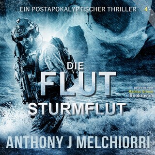 Die Flut: Sturmflut als Hörbuch