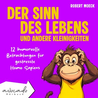 Der Sinn des Lebens und andere Kleinigkeiten als Hörbuch
