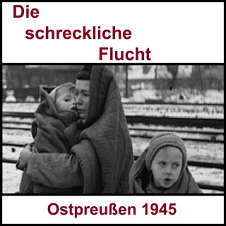 Die schreckliche Flucht als Hörbuch