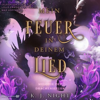Melodie der Drachenseelen - Mein Feuer in deinem Lied als Hörbuch