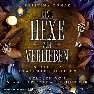 Erwachte Schatten als Hörbuch